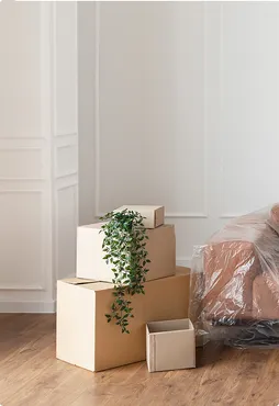 <em>Domestic</em> relocation